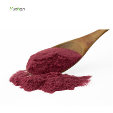 Natural Organic Instant Chasteberry Powder